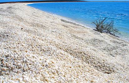 Čudesna plaža od morskih školjki