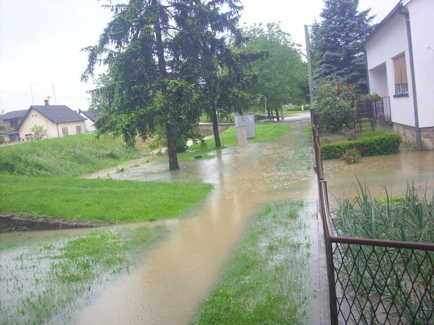 čitateljica 24sata