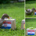 Gibona Kenta više nema pa sad pobjednike bira guska Severina! Evo tko je njezin odabir na Euru