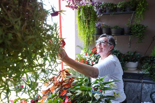 Zagreb: Jasenka Marija Kaštelan ima najljepši vrt na balkonu i ispred zgrade 