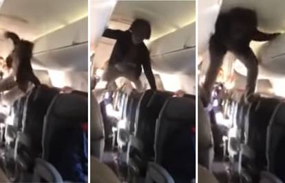 'Ovo je kao egzorcizam!': Urlala i penjala se na stolce u avionu