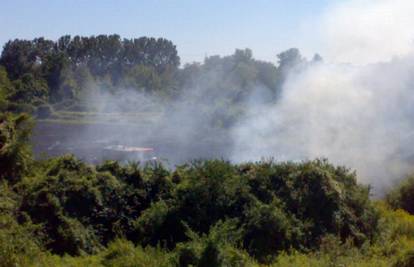 Zagreb: Zapalio korov, a vatra se proširila i na polje