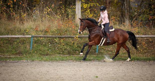 Dressage,Horse,With,Rider,Doing,Ground,Work,,Horse,Galloping,And