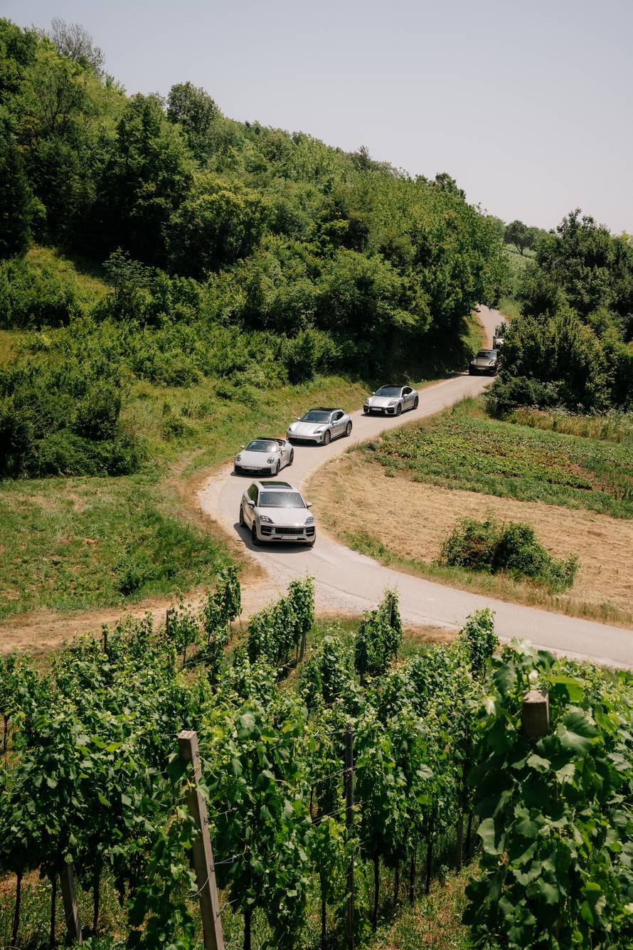 Vožnja s karakterom kroz Plešivički kraj