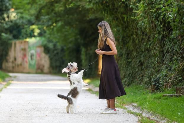 Zagreb: Hrvatska kujica Meghan proglašena najljepšim psom na svijetu