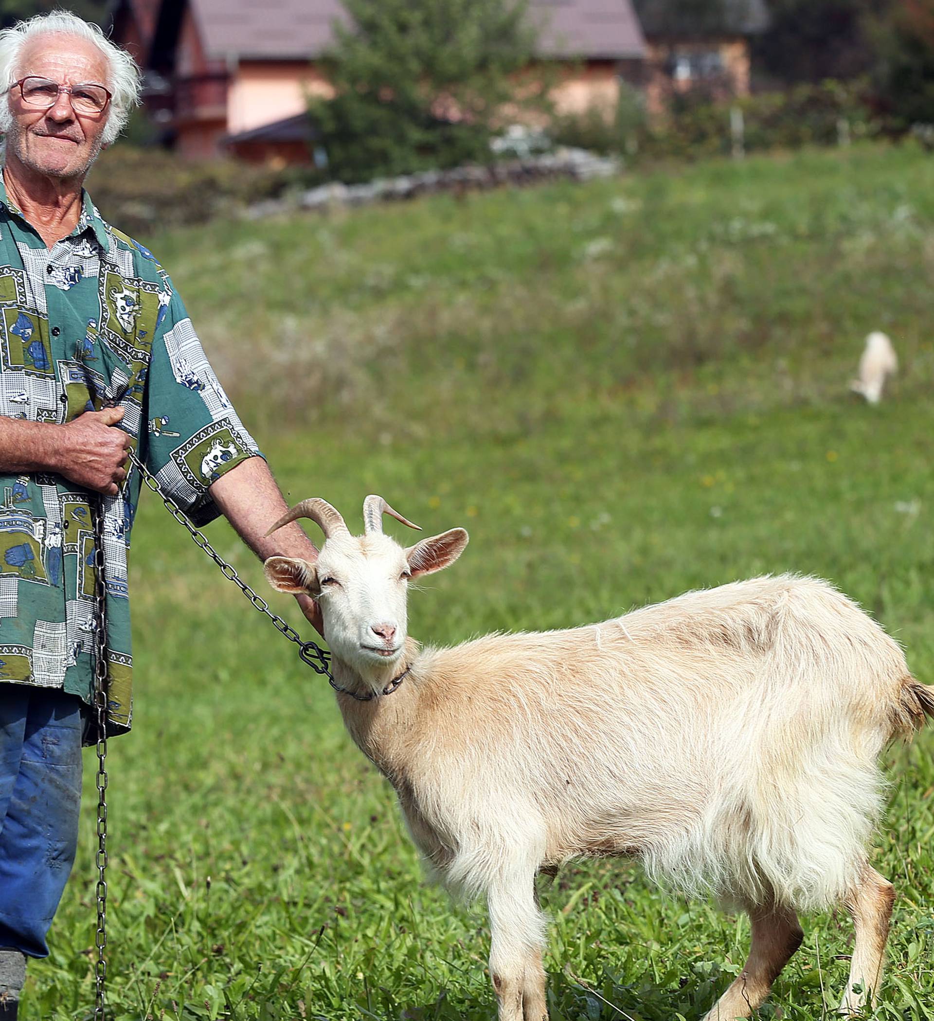 Rastaje se teška srca: Moje koze trebaju dom, pomozite mi