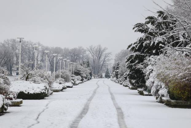 Snježni pokrivač je zabijelio je Osijek