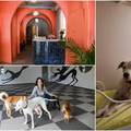 U Zagrebu otvoren hotel za pse, a cijena noćenja je do 470 kuna