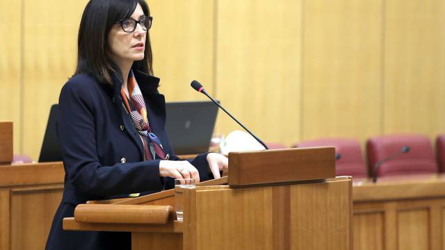 Zagreb: Sabor raspravlja o konacnom prijedlogu zakona o udÅ¾benicima
