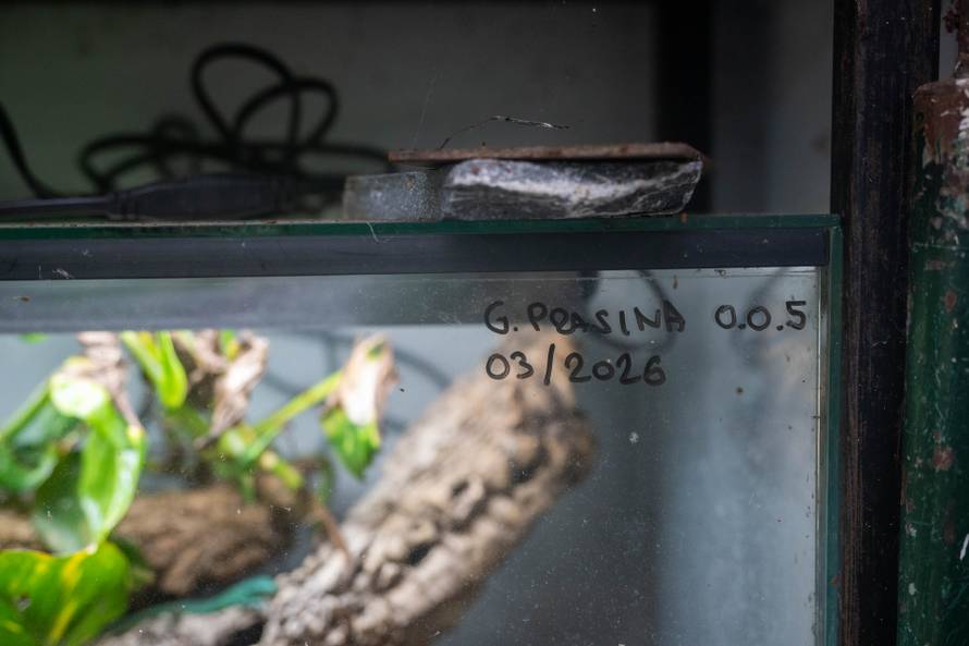 24sata Zagreb: Rodilište u Zoološkom vrtu