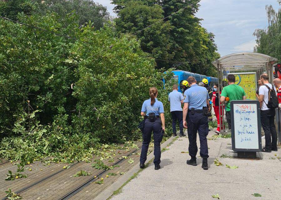 Nesreća u centru Zagreba: 'Palo je stablo i ozlijedilo jednu ženu'