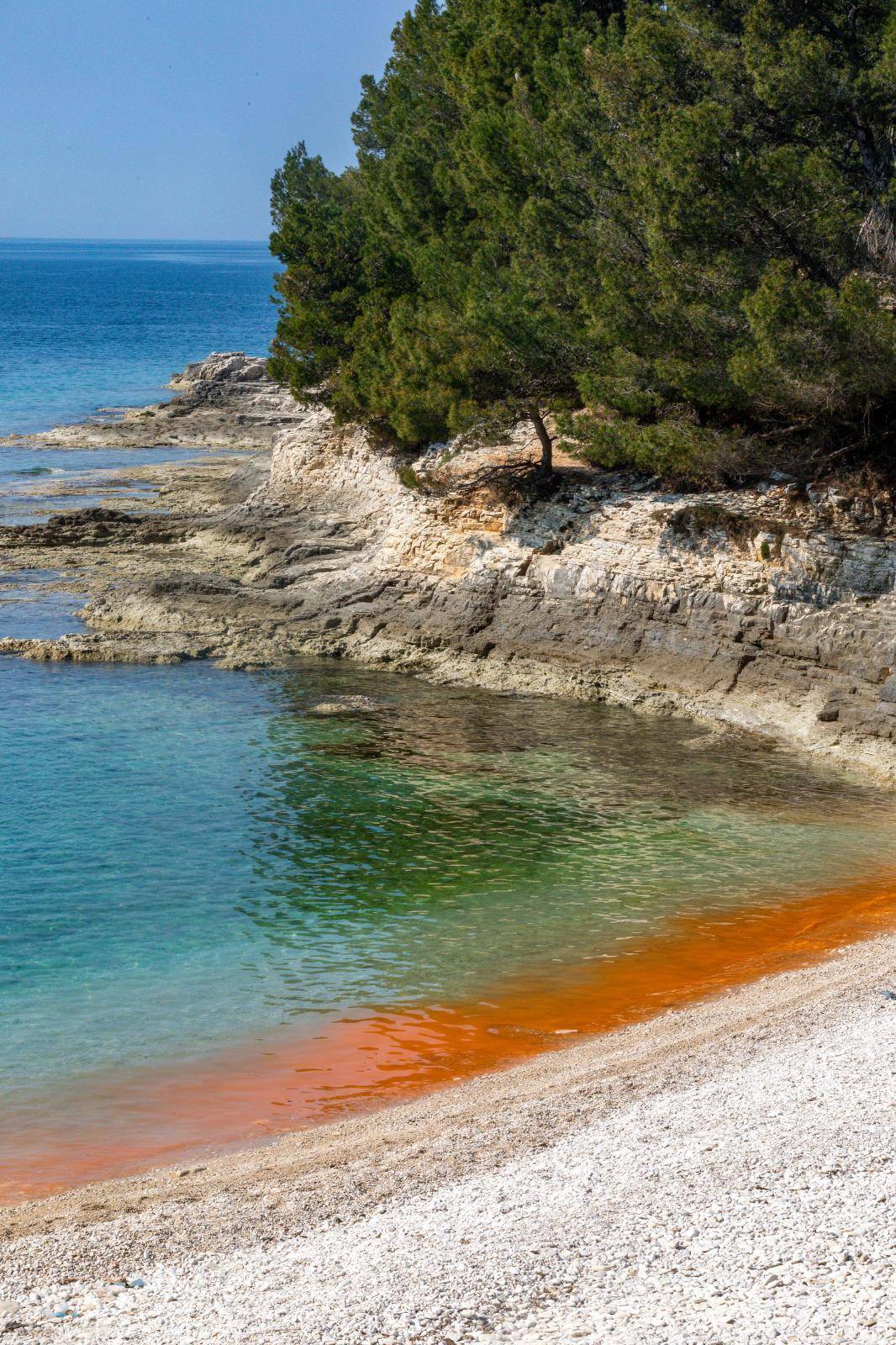 Cvjetanje mora na pojedinim pulskim plažama