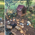 Strava u Istri: Pas umro od gladi, bio je zavezan lancem