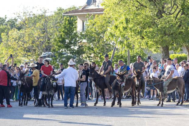 Pula: Održana je tradicionalna 55. Trka na tovari