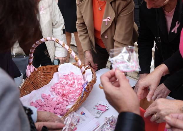 Šibenik: 25. Dan ružičaste vrpce obilježen ispred kazališta edukativnim materijalom i ružičastim vrpcama