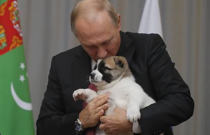 Ovakvog psića je htio i Zoran Vulić, a sad ga je dobio Putin