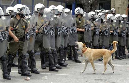 Vjerni 'Žućo' nije propustio ni najnovije prosvjede u Grčkoj