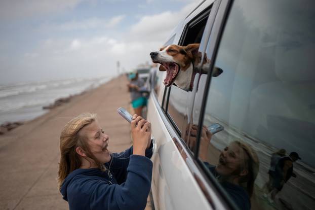 Girl photographs her dog ahead of Hurricane Laura in Galveston, Texas