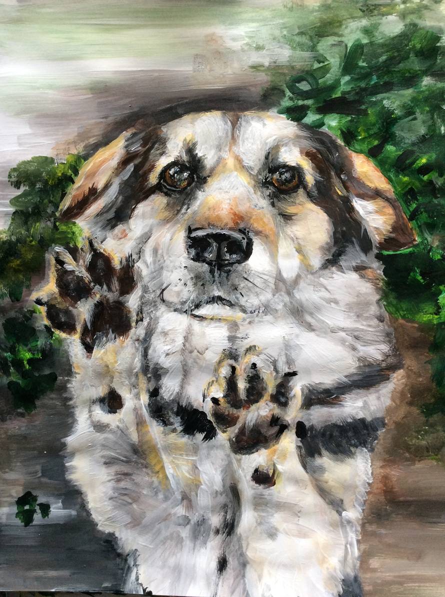 Talentirani dječak mijenja svoje slike da pomogne psima u azilu