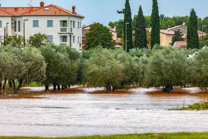 Obilna kiša u Istri uzrokovala  je poteškoće u prometu te su poplavljeni maslinici i vinogradi