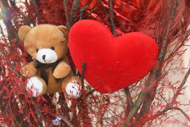 Valentinovo u Bjelovaru