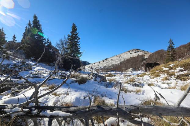 Na današnji dan 1999. proglašen je hrvatski nacionalni park Sjeverni Velebit