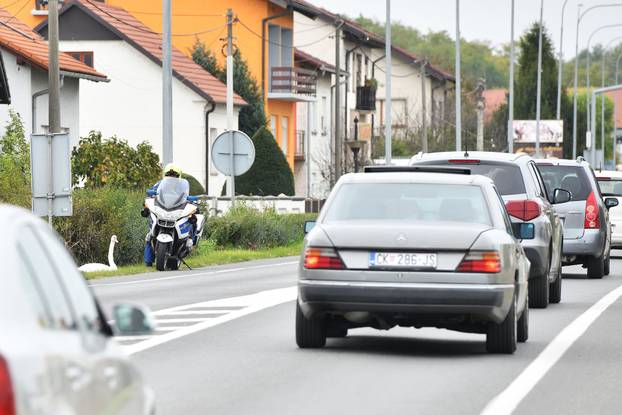 Labud usporio promet na cesti između Čakovca i Šenkovca
