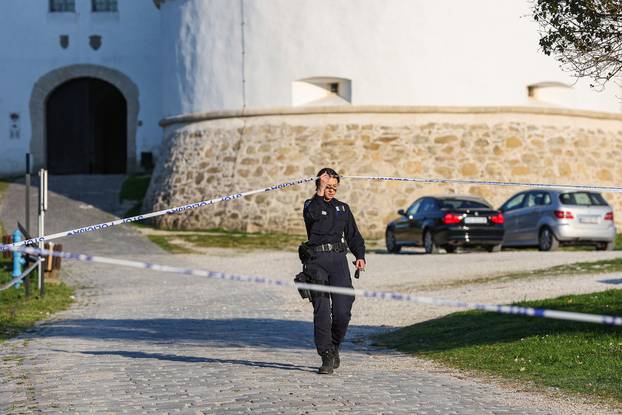 Kod Dvora Velik Tabor top usmrtio mu&scaron;karca