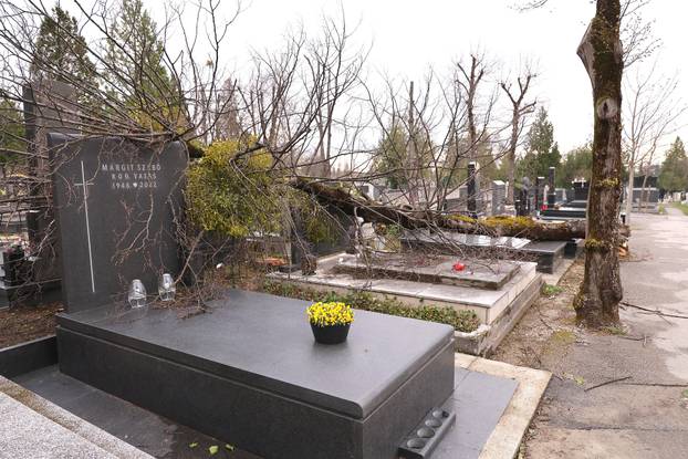 24sata Zagreb: Poljedice velikog nevremena na Mirogoju