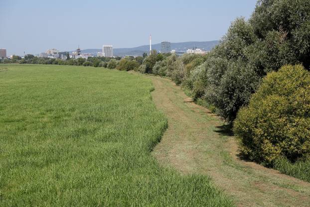 Započela je sezona alergenih biljaka u Zagrebu