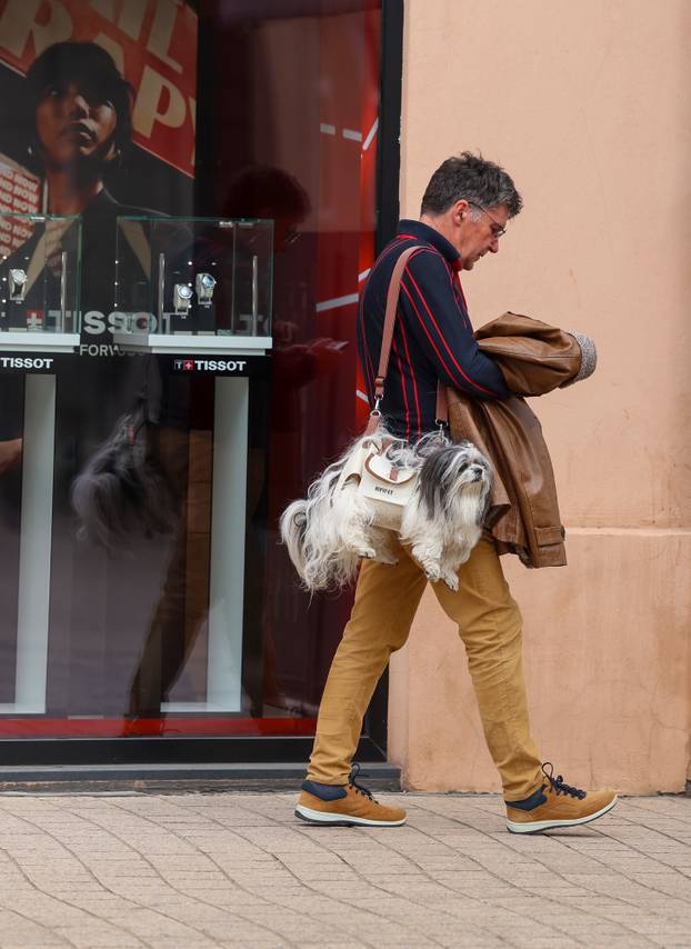 Zagreb: Pas poput modne torbice