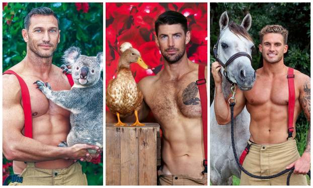 FOTO Stigao je kalendar sa seksi vatrogascima koji su se skinuli! Koja vam je životinja najslađa?