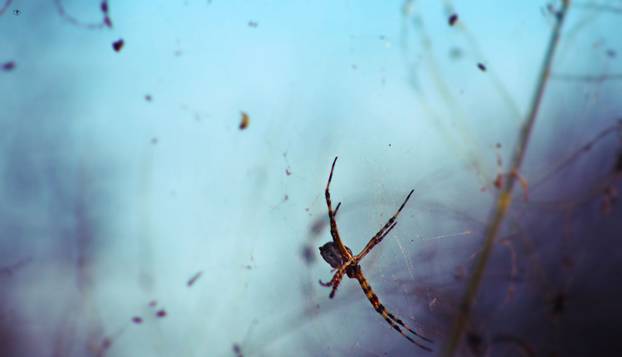 FOTO Ovo je deset najstrašnijih mitoloških bića: Od 'majke svih demona' do  zombi vikinga...