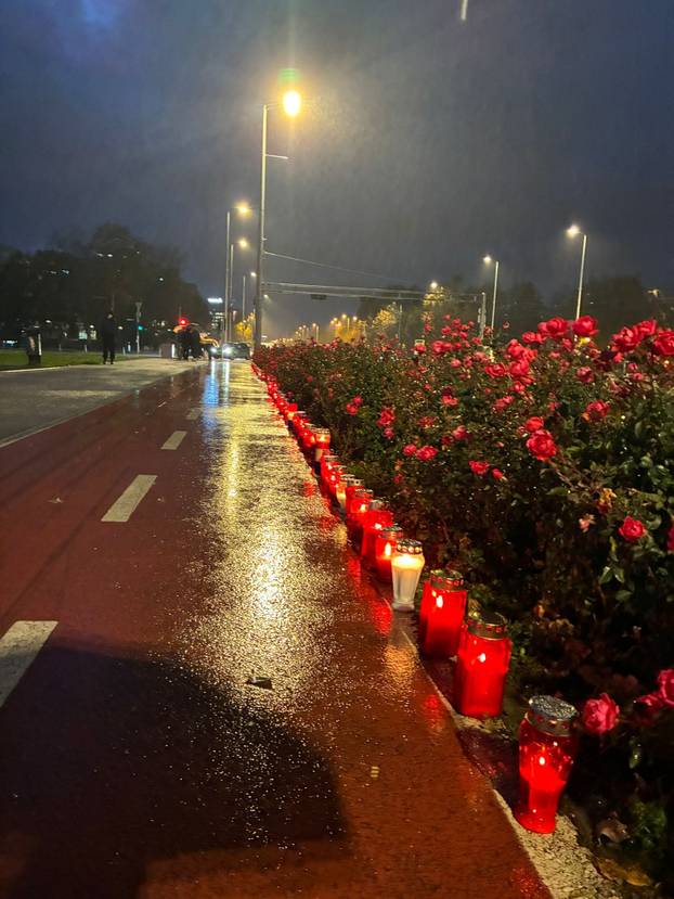 FOTO Zagreb tradicionalno odao počast gradu heroju Vukovaru