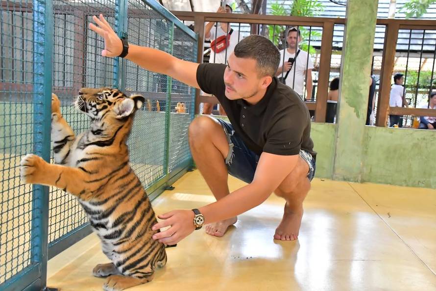Kad odmor nije samo plaža! Sin Lepe Brene pozirao s tigrom