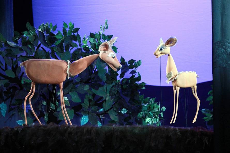 Goran Jakuš/Pixsell