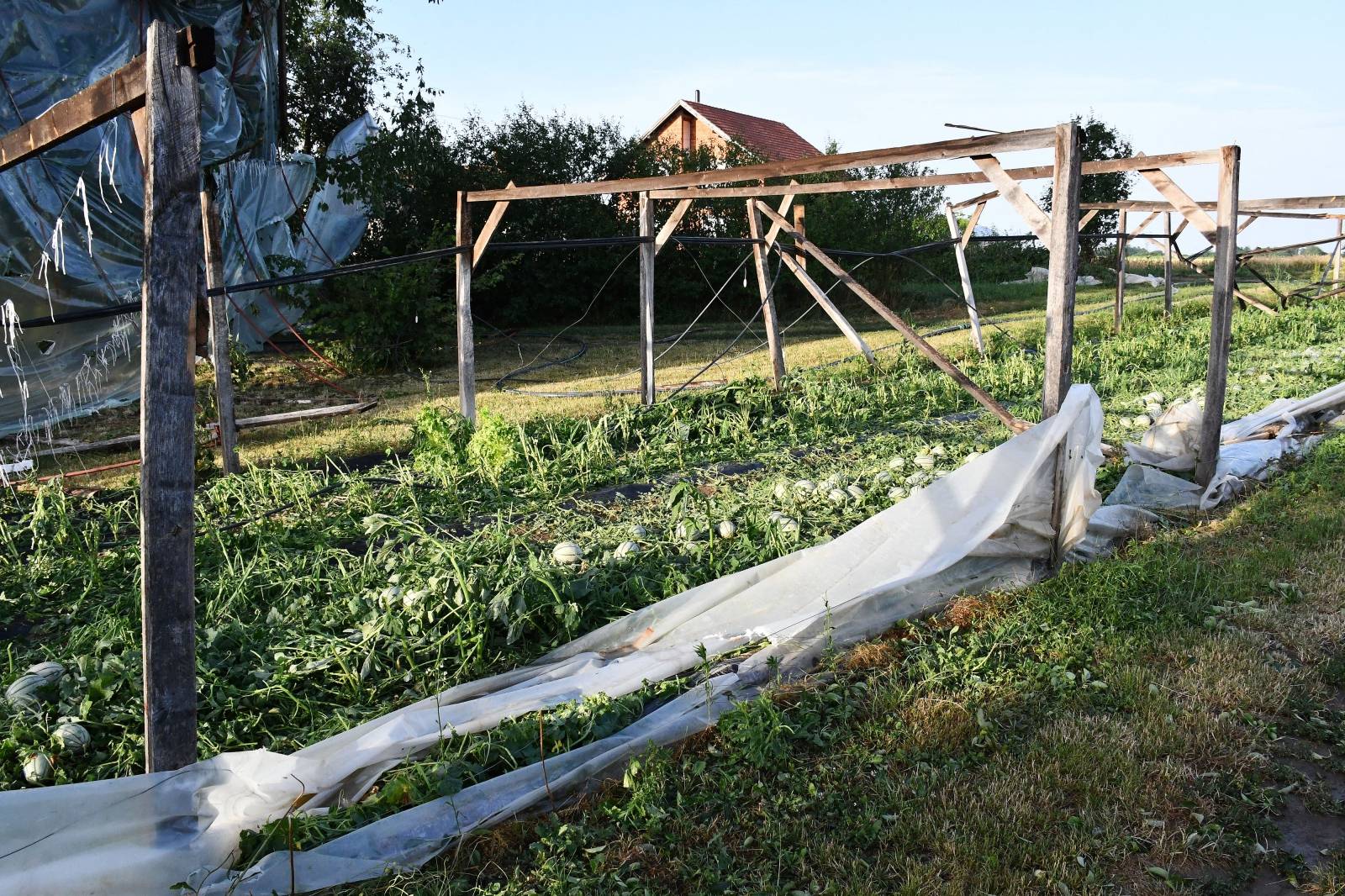 Snažno nevrijeme praćeno tučom poharalo Požegu i okolna sela