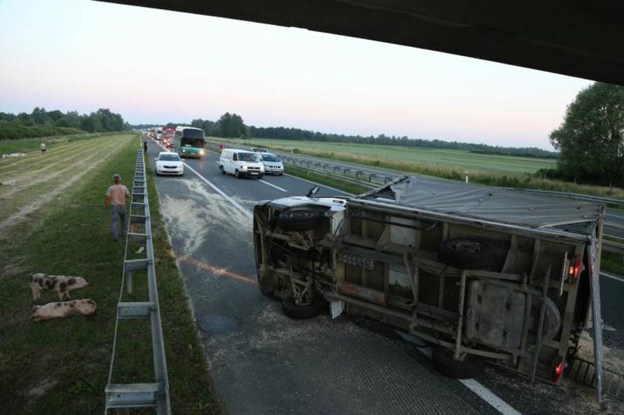 Željko Lukunić/PIXSELL