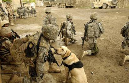 Psi ratni heroji iz Afganistana i Iraka vraćaju se s PTSP - om!