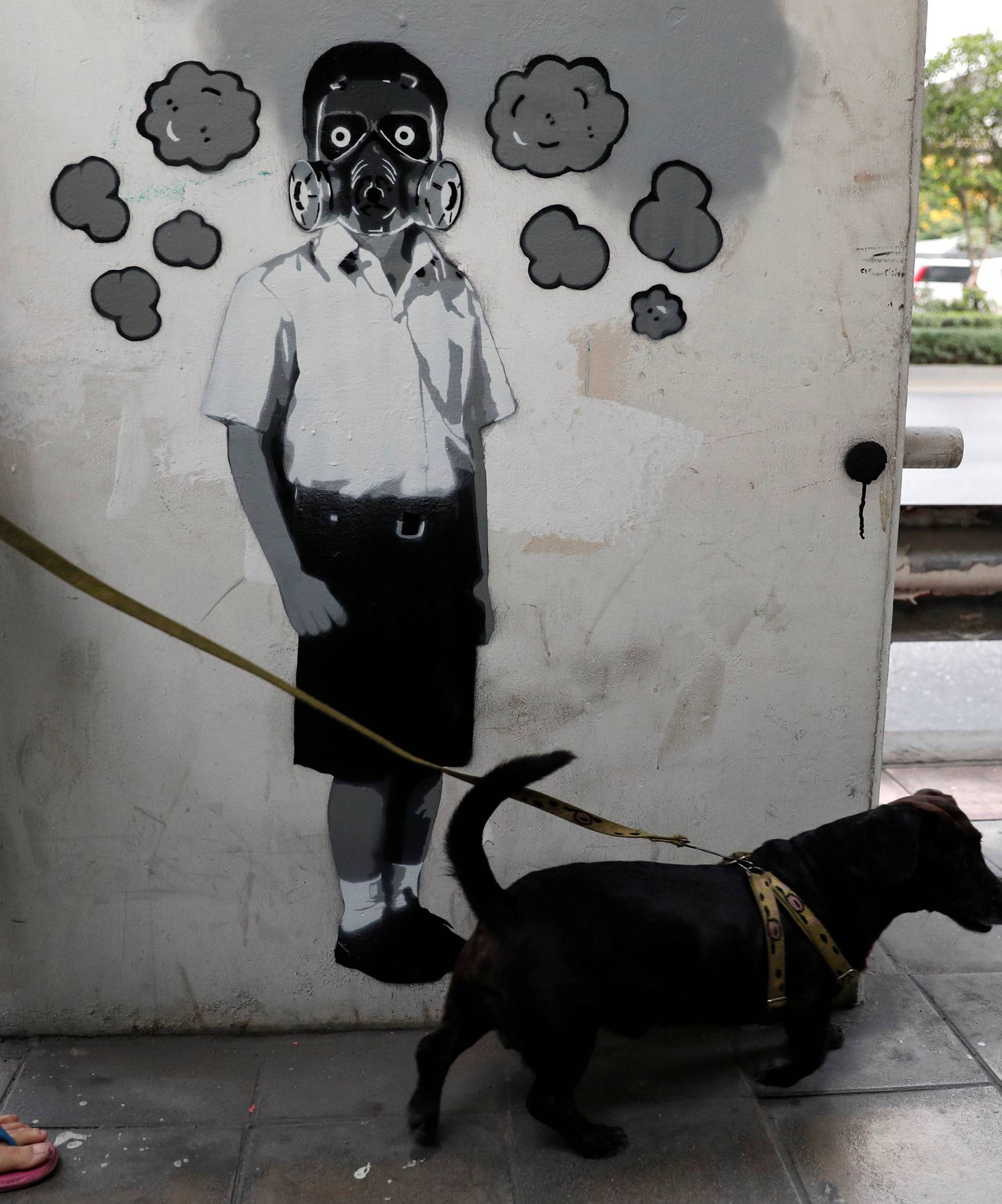 FILE PHOTO: A woman walks a dog in front of a graffiti of Thai artist Headache Stencil which makes a reference to the air quality in Bangkok