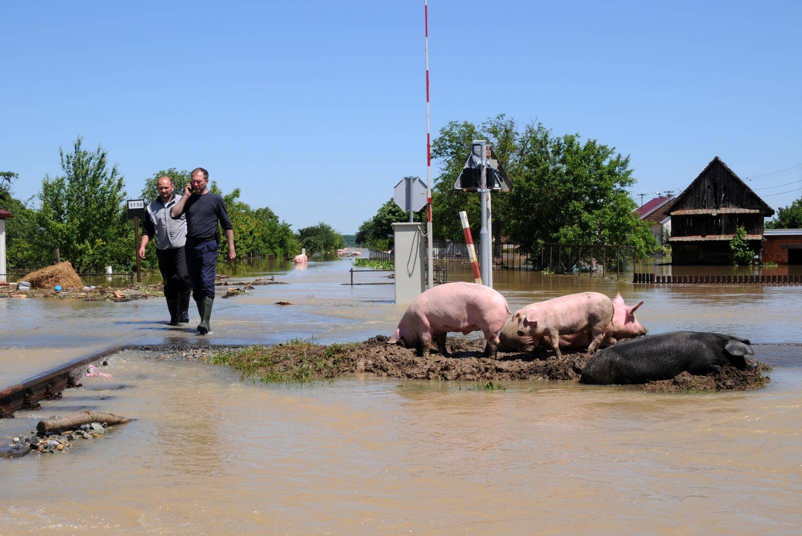 Pet godina od poplave u Gunji: Još malo i ostat će samo starci