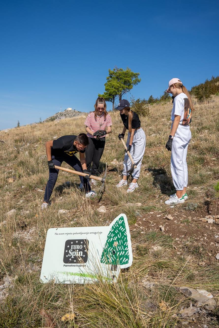 Boranka i Eurospin - Za Projekt pošumljavanja Eurospin će zasaditi 3.000 stabala