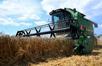 Brazil očekuje rekordnu žetvu pšenice u ovoj godini