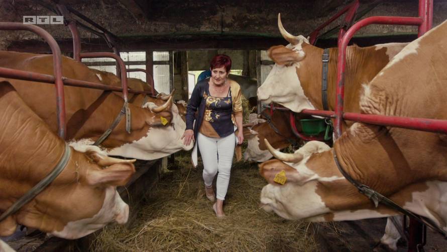 Gledatelji 'Večere za 5' opleli su po Albertu! 'Profa kao da djecu ocjenjuje, a polizao je tanjur'