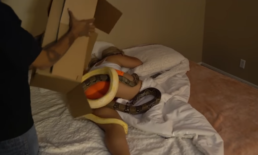 Je li on najgori dečko? Bacio dva pitona na uspavanu curu