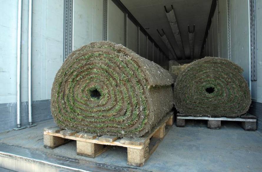 Sanjin Strukić/PIXSELL