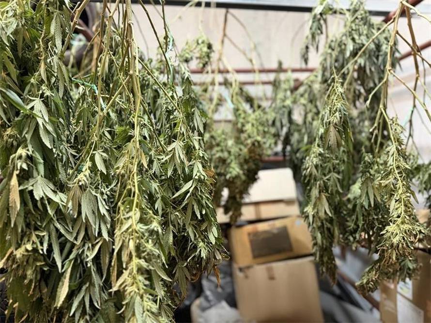 Pali dileri u Podstrani i Omišu, zaplijenili više od 2,8 kg droga