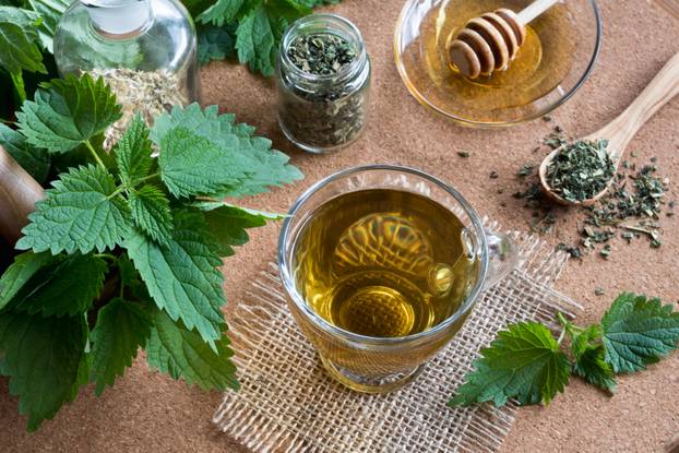 A cup of nettle tea with fresh and dry nettles