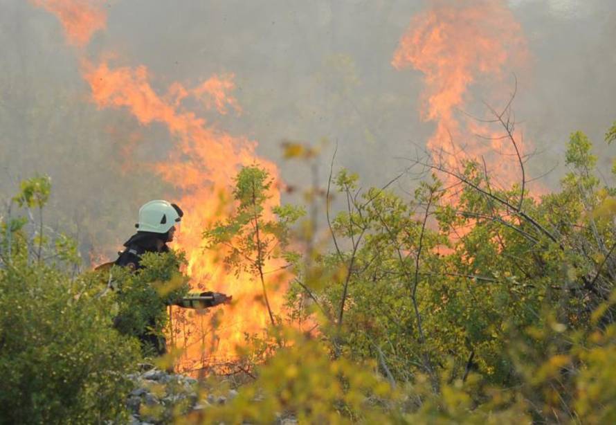 Hrvoje Jelavić/Pixsell