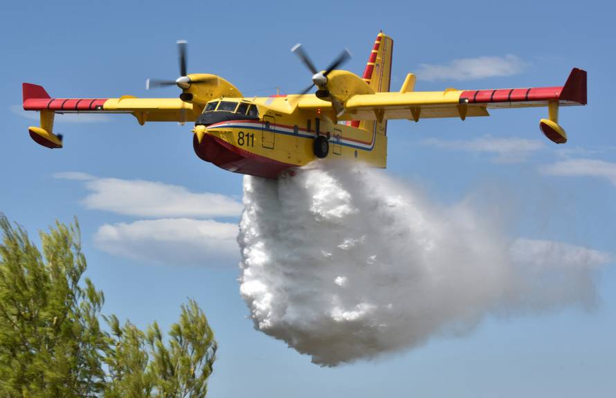U Žaboriću gori borova šuma, vatrena stihija prijeti kućama